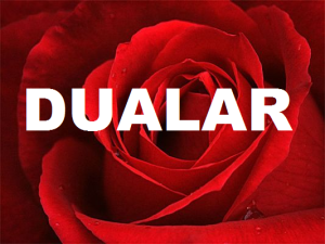 DUALAR