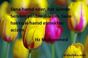 resimli hadis