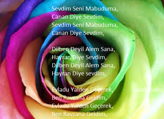 sevdim