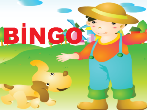 BİNGO
