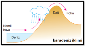 karadeniz iklimi