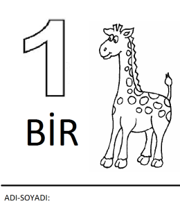 bir rakamı boyama