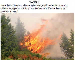 Orman yangını