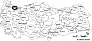 İstanbul, İzmir, Ankara, Mersin, Trabzon, Van, Konya Şehirlerinin Coğrafi Konumları