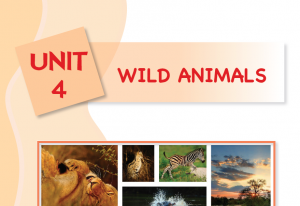 4. ünite wild animals
